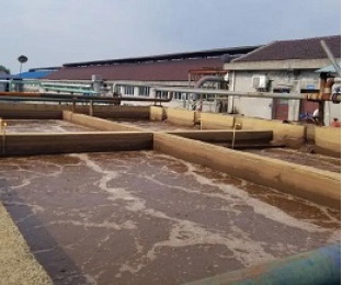 出水氨氮大于進水氨氮，怎么回事？