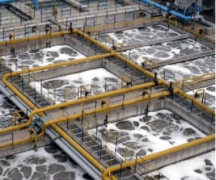 生化池出水氨氮超標提標怎么辦？