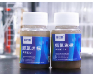 生化系統崩潰，氨氮超標，我該怎么辦?