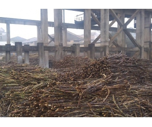 廣西來賓某堿氯法甘蔗渣制漿廠除COD、脫色案例分享